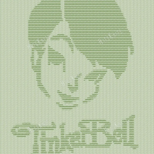 Light green knitted baby blanket with a textured Tinker Bell fairy design inspired by Peter Pan, framed by a wide garter stitch border.