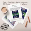 Seahawks Finger Knit Blanket Pattern - the Seattle Seahawks seahawk-head logo on a green field with Super Bowl LX 2026 emblems on a navy background, worked in stockinette colorwork intarsia with 8 colors: Navy, Green, White, Gray, Graphite, Sky, Lilac, Gold.